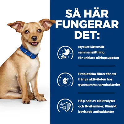 Så här fungerar det: Mycket lättsmält sammansättning för enklare näringsupptag. Prebiotiska fibrer för att främja aktiviteten hos gynnsamma tarmbakterier. Hög halt av elektrolyter och B-vitaminer; Kliniskt bevisade antioxidanter.