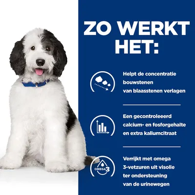 Hill's Prescription Diet Canine C/D Urinary Care hundefôr med kylling
