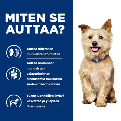 MITEN SE AUTTAA? Auttaa tukemaan munuaisten toimintaa. Auttaa hoitamaan munuaisten vajaatoiminnan aiheuttamia muutoksia suolen mikrobiomissa. Tukee lihasmassan ylläpitoa.