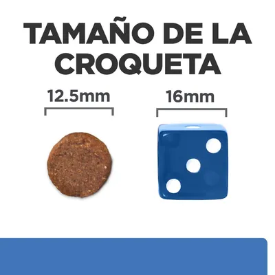 Tamaño de la croqueta: 12,5 mm comparado con un dado azul de 16 mm. Imagen muestra una croqueta redonda junto a un dado para referencia visual del tamaño.