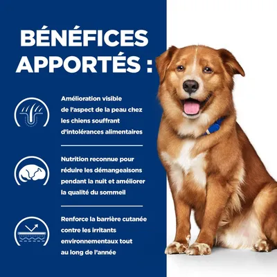 BÉNÉFICES APPORTÉS : amélioration de la peau chez les chiens souffrant d’intolérances alimentaires, réduction des démangeaisons nocturnes, renforcement de la barrière cutanée annuelle.