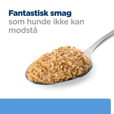 Fantastisk smag som hunde ikke kan modstå, tekst over en ske med vådfoder til hunde.