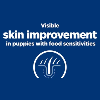 Visible skin improvement in puppies with food sensitivities szöveg és bőr ikon. Az angol szöveg a képen szerepel.