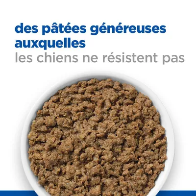 Texte : des pâtées généreuses auxquelles les chiens ne résistent pas. Bol de pâtée pour chien vu de dessus.