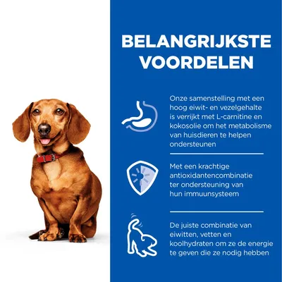 Belangrijkste voordelen: hoog eiwit- en vezelgehalte met L-carnitine en kokosolie voor metabolisme, antioxidanten voor immuunsysteem, juiste combinatie van eiwitten, vetten en koolhydraten.