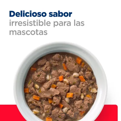 Comida húmeda para mascotas en bol blanco con trozos de carne, zanahoria y guisantes. Texto visible: Delicioso sabor irresistible para las mascotas.