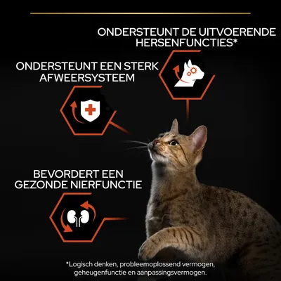 Ondersteunt de uitvoerende hersenfuncties, ondersteunt een sterk afweersysteem, bevordert een gezonde nierfunctie. *Logisch denken, probleemoplossend vermogen, geheugenfunctie en aanpassingsvermogen.