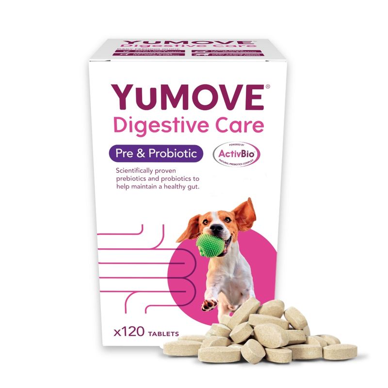 YuMOVE Digestive Care Pre- & Probiotic