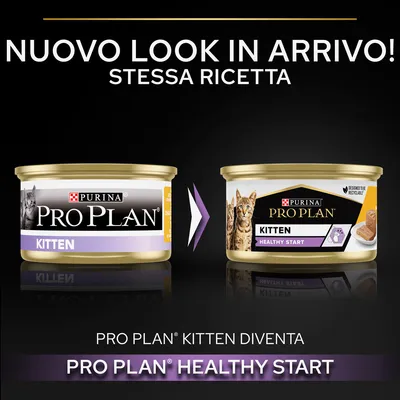 Nuovo look in arrivo! Stessa ricetta. Pro Plan Kitten diventa Pro Plan Healthy Start. Immagine di due confezioni Purina Pro Plan Kitten e Kitten Healthy Start.