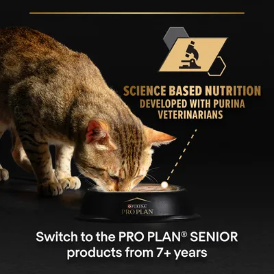 Science based nutrition developed with Purina veterinarians. Switch to the PRO PLAN SENIOR products from 7+ years. Cat eating from Purina Pro Plan bowl.