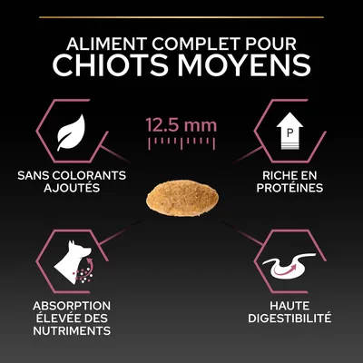 Aliment complet pour chiots moyens, croquette 12,5 mm, sans colorants ajoutés, riche en protéines, absorption élevée des nutriments, haute digestibilité. Texte en français.