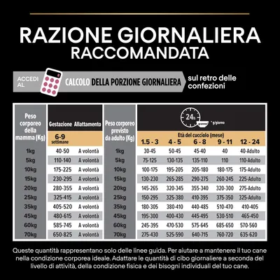 Tabella razione giornaliera raccomandata per cani: quantità in grammi secondo peso corporeo e fase (gestazione, allattamento, età cucciolo da 1,5 a 24 mesi). Include calcolo porzione giornaliera.