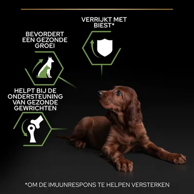 Bevordert een gezonde groei, helpt bij de ondersteuning van gezonde gewrichten, verrijkt met biest* (*om de immuunrespons te helpen versterken). Afbeelding van een puppy.