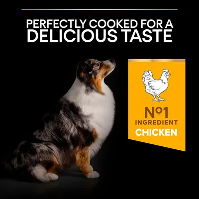 Κείμενο στα αγγλικά: Perfectly cooked for a delicious taste. Nο1 ingredient chicken. Εικόνα σκύλου και σκίτσο κοτόπουλου σε πορτοκαλί φόντο.