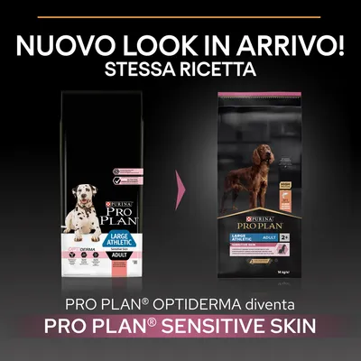 Immagine che mostra il cambio di confezione: PRO PLAN Optiderma Large Athletic Adult diventa PRO PLAN Sensitive Skin Large Athletic Adult. Testo: Nuovo look in arrivo! Stessa ricetta.