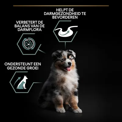 Helpt de darmgezondheid te bevorderen, verbetert de balans van de darmflora, ondersteunt een gezonde groei. Afbeelding van een puppy naast deze productclaims.