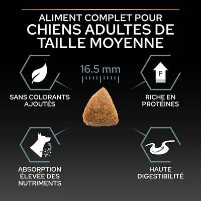 Aliment complet pour chiens adultes de taille moyenne, croquette 16,5 mm, sans colorants ajoutés, riche en protéines, absorption élevée des nutriments, haute digestibilité.