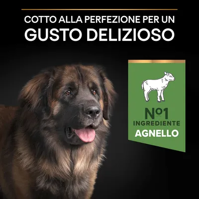 Cotto alla perfezione per un gusto delizioso. N°1 ingrediente agnello.