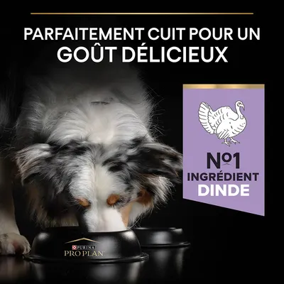 Texte : Parfaitement cuit pour un goût délicieux. N°1 ingrédient dinde. Chien mangeant dans une gamelle Purina Pro Plan.