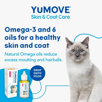 Omega-3 and 6 oils for healthy skin and coat. Natural Omega oils reduce excess moulting and hairballs. Drop onto food. YuMOVE Skin & Coat Care bottle and packaging shown.