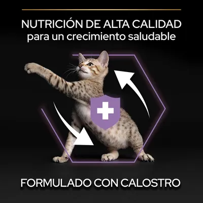 NUTRICIÓN DE ALTA CALIDAD para un crecimiento saludable. FORMULADO CON CALOSTRO. Imagen de un gato con flechas y escudo con cruz blanca.
