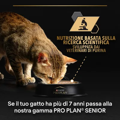 Nutrizione basata sulla ricerca scientifica sviluppata dai veterinari di Purina. Se il tuo gatto ha più di 7 anni passa alla nostra gamma PRO PLAN SENIOR.