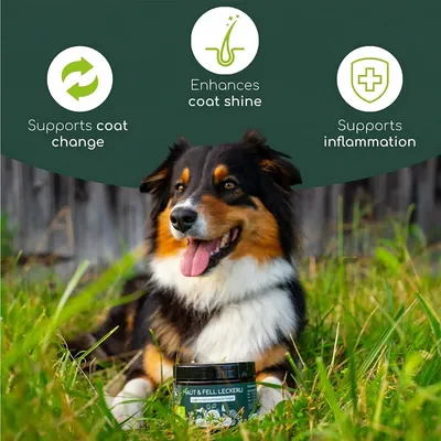 Wolfsbacher Natur Leckerli Skin & Coat Dog Snacks