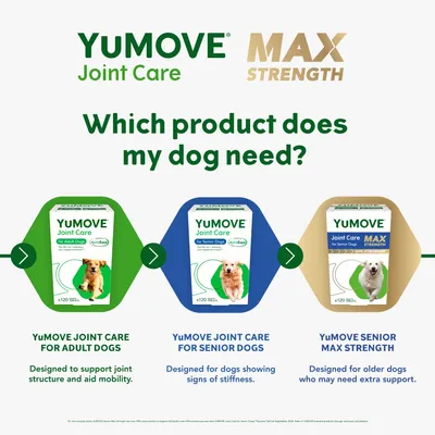 Comparison of YuMOVE Joint Care products: for adult dogs to support joint structure and mobility, for senior dogs showing stiffness, and Max Strength for older dogs needing extra support.