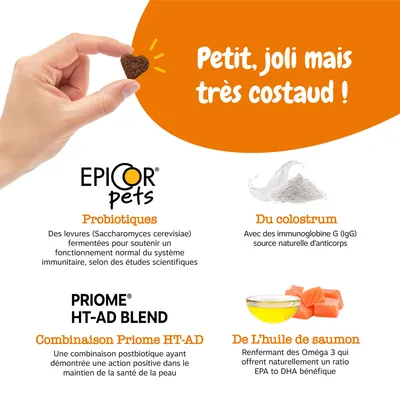 Petit, joli mais très costaud ! EPICOR pets Probiotiques, Du colostrum, PRIOME HT-AD BLEND Combinaison Priome HT-AD, De l’huile de saumon. Texte en fr_BE.