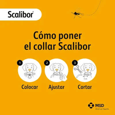 Instrucciones de uso del collar Scalibor: 1. Colocar el collar, 2. Ajustar el tamaño, 3. Recortar el exceso a 5 cm. Logo de MSD Animal Health visible.