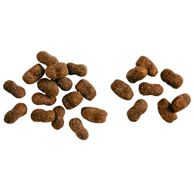 Brown, peanut-shaped kibbles in two small piles, suitable for dry food.