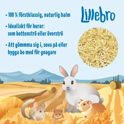 Lillebro. 100 % förstklassig, naturlig halm. Idealiskt för burar: som bottenströ eller överströ. Att gömma sig i, sova på eller bygga bo med för gnagare.