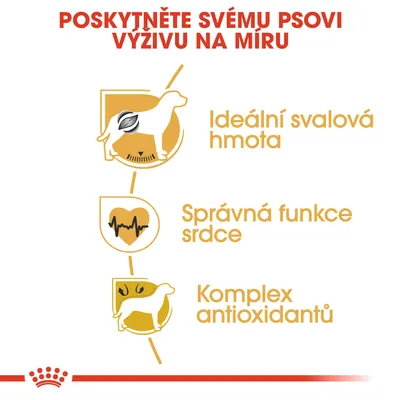 Poskytněte svému psovi výživu na míru: Ideální svalová hmota, správná funkce srdce, komplex antioxidantů.