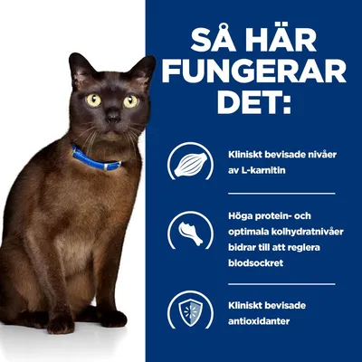 Så här fungerar det: Kliniskt bevisade nivåer av L-karnitin, höga protein- och optimala kolhydratnivåer bidrar till att reglera blodsockret, kliniskt bevisade antioxidanter.