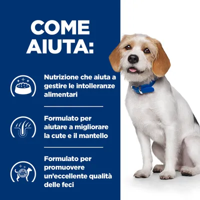 COME AIUTA: Nutrizione che aiuta a gestire le intolleranze alimentari. Formulato per aiutare a migliorare la cute e il mantello. Formulato per promuovere un’eccellente qualità delle feci.
