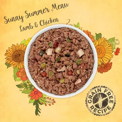 Sunny Summer Menu Lamb & Chicken, Grain Free Recipe. Schotel natvoer met zichtbare stukjes vlees en groenten.