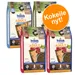 bosch Adult -kokeilupakkaus 4 x 1 kg