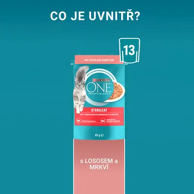 PURINA ONE Sterilcat 85 g s lososem a mrkví, mit Lachs und Karotten, hmotnostní kontrola, podporuje zdravé močové cesty, balení obsahuje 13 ks