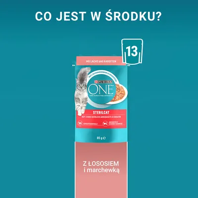 Purina ONE Sterilcat, 85 g, z łososiem i marchewką. Na opakowaniu kot, miska karmy oraz tekst: 'Z ŁOSOSIEM i marchewką'. Widoczna liczba 13 na ikonie saszetki.