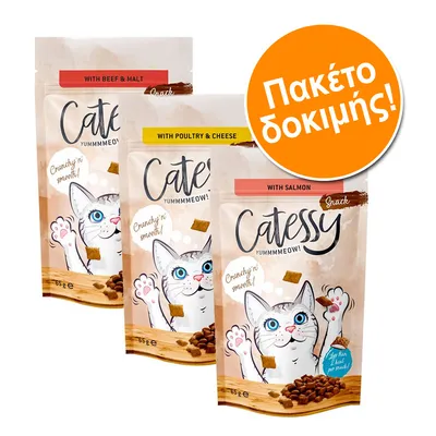 Πακέτο Δοκιμής Catessy Crunchy Snacks 3 x 65 g
