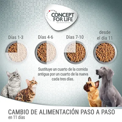 Guía Concept for Life para cambio de alimentación en 11 días: sustituye un cuarto de la comida antigua por nueva cada tres días. Días 1–3, 4–6, 7–10 y desde el día 11.