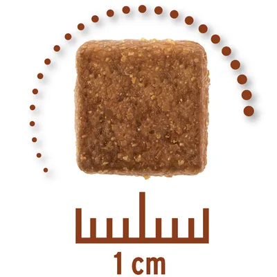 Bucată pătrată de hrană pentru animale, de 1 cm, prezentată cu scară și puncte pentru indicarea dimensiunii.
