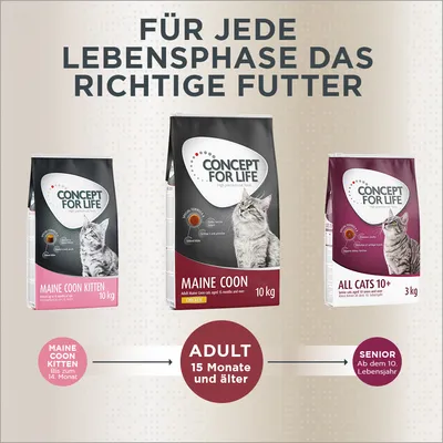 Concept for Life Katzenfutter für jede Lebensphase: Maine Coon Kitten bis 14 Monate, Adult ab 15 Monate, Senior ab 10 Jahren. Verpackungen mit Produktdetails sichtbar.