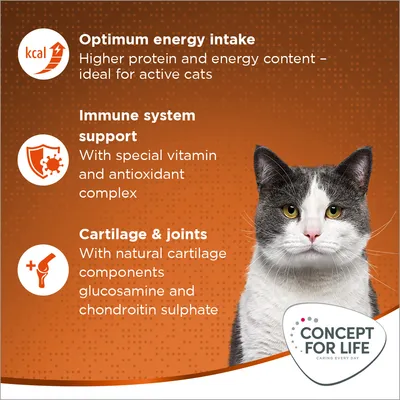 Concept for Life Outdoor Cats  - с подобрена рецепта!