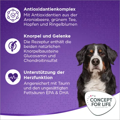 Texte en allemand : Antioxidantienkomplex, Knorpel und Gelenke, Unterstützung der Herzfunktion. Logo Concept for Life. Chien de grande taille à poil long.