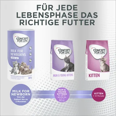 Concept for Life: passendes Futter für jede Lebensphase. Milk for Newborn von Geburt bis 2 Monate, Mum & Young Kittens ab 6. Woche bis 4. Monat, Kitten unter 12 Monate.