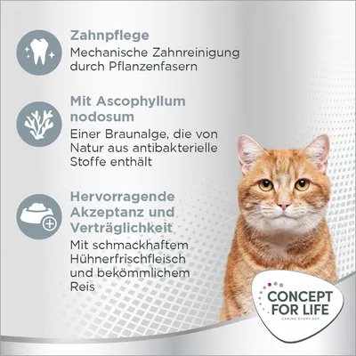 Zahnpflege durch Pflanzenfasern, Ascophyllum nodosum mit antibakteriellen Stoffen, Hühnerfrischfleisch und Reis für Akzeptanz. Concept for Life Logo und Katze sichtbar.