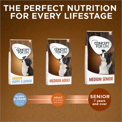 Concept for Life dry food range: Medium Puppy & Junior for up to 12 months, Medium Adult for 12 months and over, Medium Senior for 7 years and over. Nutrition for every lifestage.