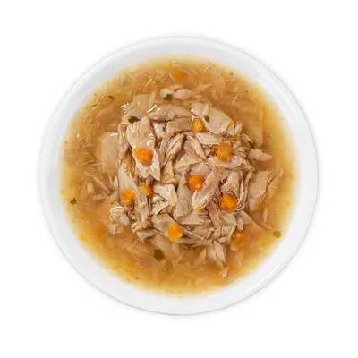 Nahaufnahme von Nassfutter mit Fleischstücken und Karotten in Brühe, serviert auf einem weissen Teller.