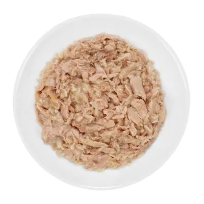 Cibo umido per animali in pezzi servito su un piatto bianco, senza confezione o marchio visibile.